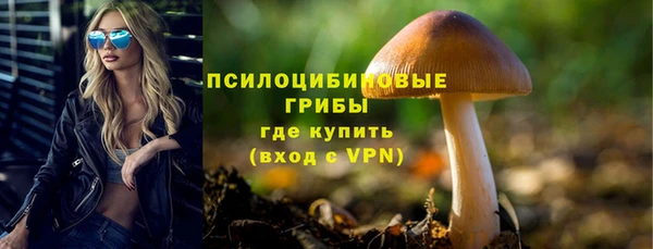 синтетический гашиш Алексеевка