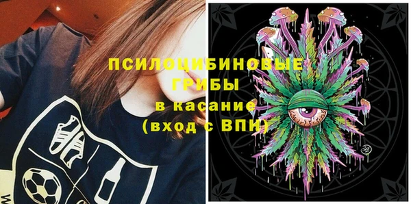 прущий лед Абаза