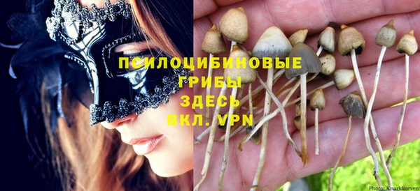 синтетический гашиш Алексеевка