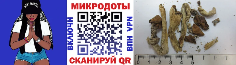 Галлюциногенные грибы MAGIC MUSHROOMS Отрадная